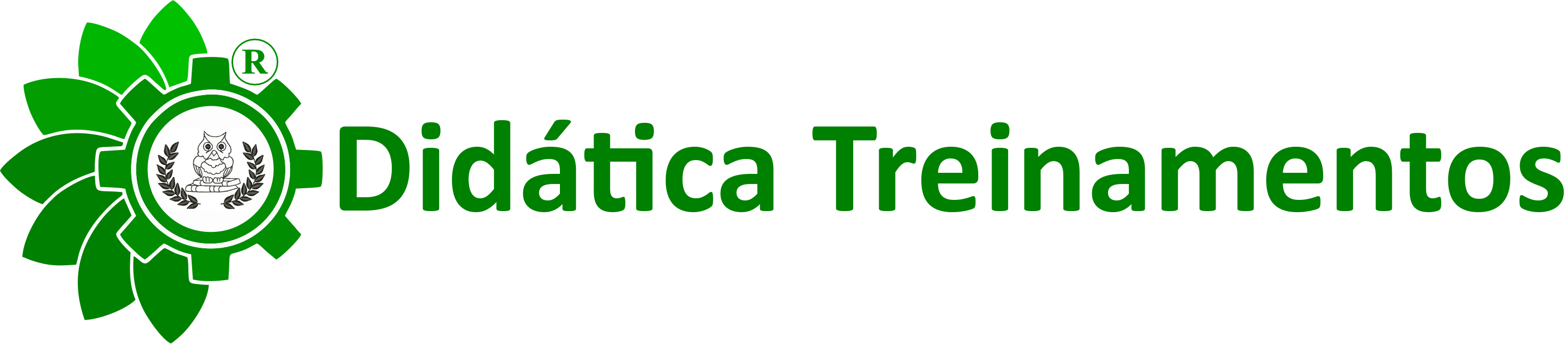 Didatica Treinamentos